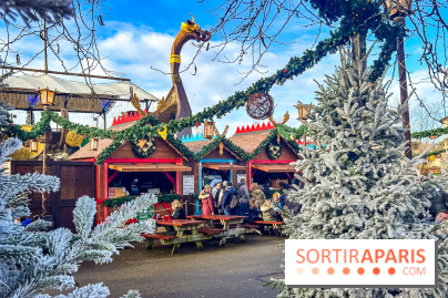 Noël au Parc Astérix 2025, patinoire et marché de Noël  - IMG 7514