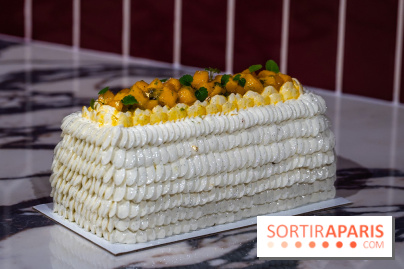 Bûche de Noël Paris-Brest pistache et tropicale de Nour Kandler - Lalla Coffee - A7C02384