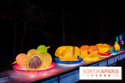 Le Japon en Lumières : le parcours lumineux et festival des lanternes 2025 du Jardin d'Acclimatation - IMG 4937