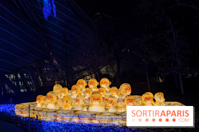 Le Japon en Lumières : le parcours lumineux et festival des lanternes 2025 du Jardin d'Acclimatation - IMG 5016