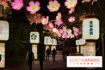 Le Japon en Lumières : le parcours lumineux et festival des lanternes 2025 du Jardin d'Acclimatation - IMG 5079