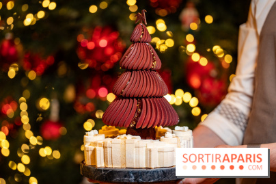 Bûche de Noël Cheval Blanc 2025 : Maxime Frédéric dévoile un sapin exceptionnel - photos - A7C02768