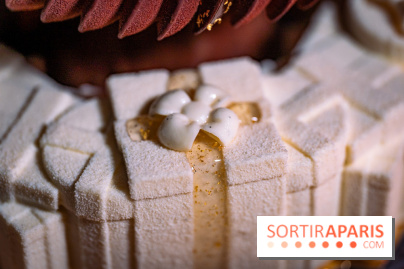 Bûche de Noël Cheval Blanc 2025 : Maxime Frédéric dévoile un sapin exceptionnel - photos - A7C02779