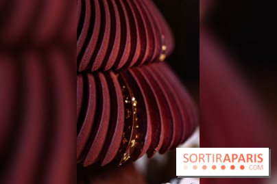 Bûche de Noël Cheval Blanc 2025 : Maxime Frédéric dévoile un sapin exceptionnel - photos - A7C02782