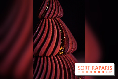 Bûche de Noël Cheval Blanc 2025 : Maxime Frédéric dévoile un sapin exceptionnel - photos - A7C02783