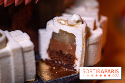 Bûche de Noël Cheval Blanc 2025 : Maxime Frédéric dévoile un sapin exceptionnel - photos - A7C02785