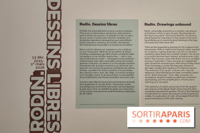 Rodin, dessins libres : une exposition d'œuvres rarement montrées au musée Rodin se dévoile - fotor 1765539583280