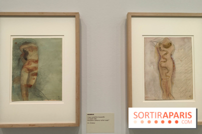 Rodin, dessins libres : une exposition d'œuvres rarement montrées au musée Rodin se dévoile