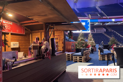 Patinoire au Parc des Princes - IMG 4427