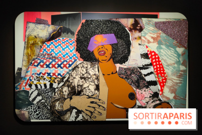 All About Love : l'exposition audacieuse et vivante de Mickalene Thomas au Grand Palais - photos - fotor 1765896915996