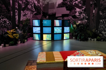 All About Love : l'exposition audacieuse et vivante de Mickalene Thomas au Grand Palais - photos - fotor 1765897022437