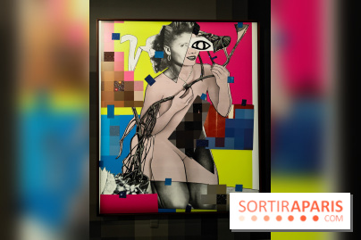 All About Love : l'exposition audacieuse et vivante de Mickalene Thomas au Grand Palais - photos - fotor 1765897145243