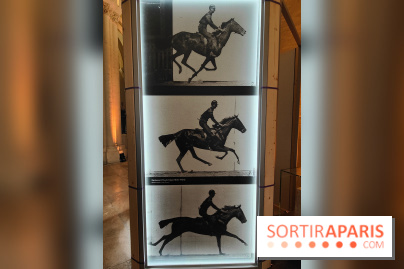 Zeus, chef d'œuvre d'artisans : une exposition sur le cheval des JO au musée des Arts et Métiers