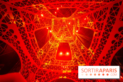 Le Grand Palais des Glaces 2025 - les photos - IMG 8097