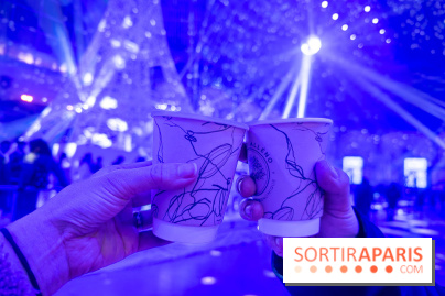 Le Grand Palais des Glaces 2025 - les photos - IMG 8111