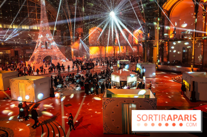 Le Grand Palais des Glaces 2025 - les photos - IMG 8118