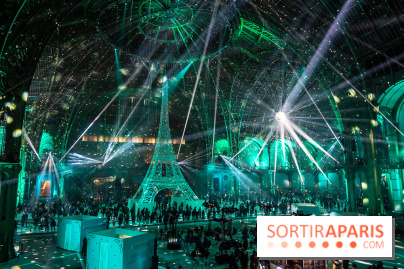 Le Grand Palais des Glaces 2025 - les photos - IMG 8130