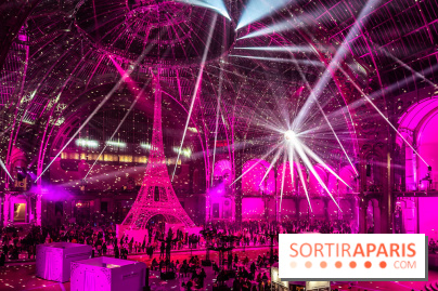 Le Grand Palais des Glaces 2025 - les photos - IMG 8137