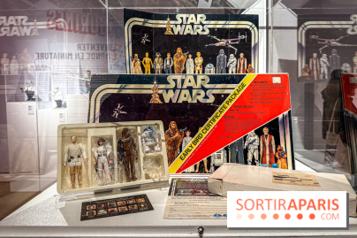 L'Univers des Figurines à l'Ancienne Poste de Versailles - IMG 2492