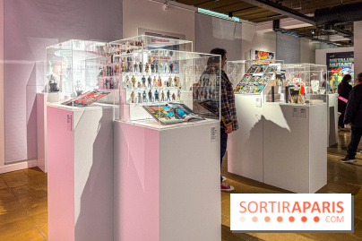 L'Univers des Figurines à l'Ancienne Poste de Versailles - IMG 2499