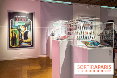 L'Univers des Figurines à l'Ancienne Poste de Versailles - IMG 2500