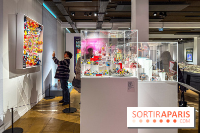 L'Univers des Figurines à l'Ancienne Poste de Versailles - IMG 2509