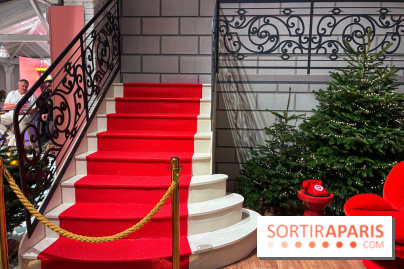 L'Appart de Noël Star Academy  - IMG 1914