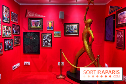 L'Appart de Noël Star Academy  - IMG 1953