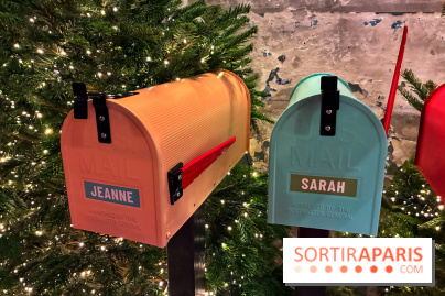 L'Appart de Noël Star Academy  - IMG 1975