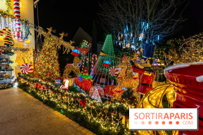 Ce passionné en Essonne transforme son jardin en Village de Noël à visiter gratuitement