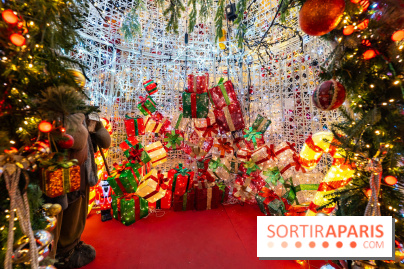 Ce passionné en Essonne transforme son jardin en Village de Noël à visiter gratuitement