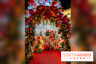 Ce passionné en Essonne transforme son jardin en Village de Noël à visiter gratuitement