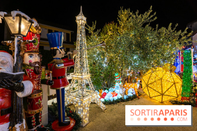 Ce passionné en Essonne transforme son jardin en Village de Noël à visiter gratuitement