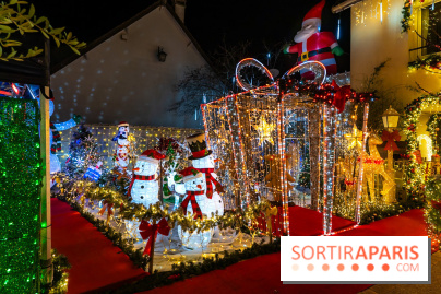 Ce passionné en Essonne transforme son jardin en Village de Noël à visiter gratuitement
