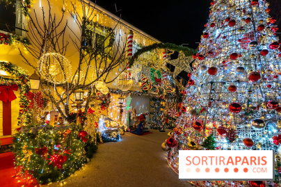 Ce passionné en Essonne transforme son jardin en Village de Noël à visiter gratuitement