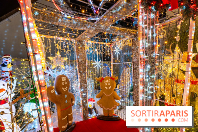 Ce passionné en Essonne transforme son jardin en Village de Noël à visiter gratuitement