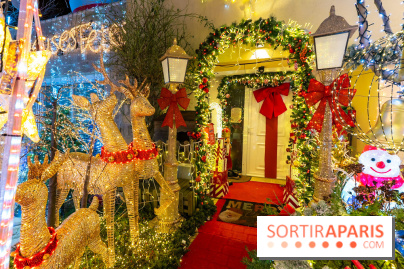 Ce passionné en Essonne transforme son jardin en Village de Noël à visiter gratuitement