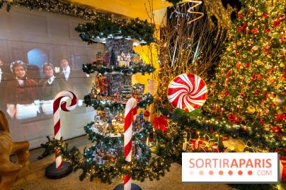 Ce passionné en Essonne transforme son jardin en Village de Noël à visiter gratuitement