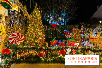 Ce passionné en Essonne transforme son jardin en Village de Noël à visiter gratuitement