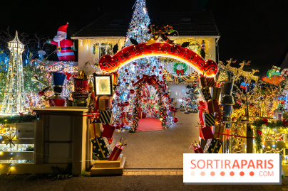 Ce passionné en Essonne transforme son jardin en Village de Noël à visiter gratuitement