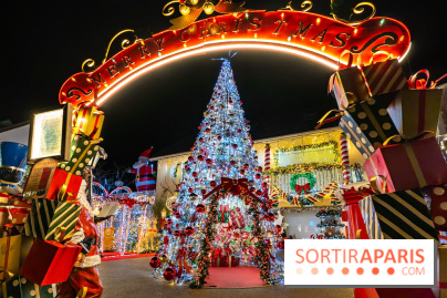 Ce passionné en Essonne transforme son jardin en Village de Noël à visiter gratuitement