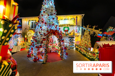 Ce passionné en Essonne transforme son jardin en Village de Noël à visiter gratuitement