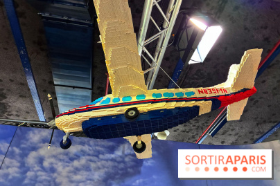 Dinosaures LEGO - IMG 1984