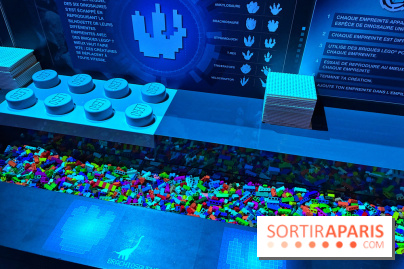 Dinosaures LEGO - IMG 2015