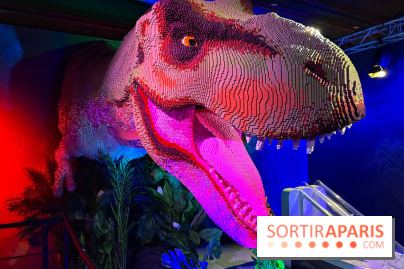 Dinosaures LEGO - IMG 2035