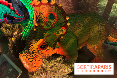 Dinosaures LEGO - IMG 2009