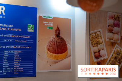 Les bûches de Noël glacées de Bachir spécial dômes parisiens  - A7C03255