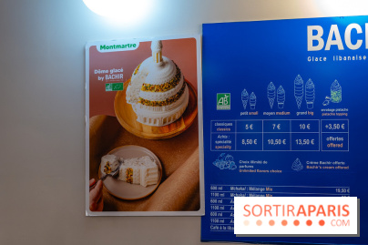 Les bûches de Noël glacées de Bachir spécial dômes parisiens  - A7C03256