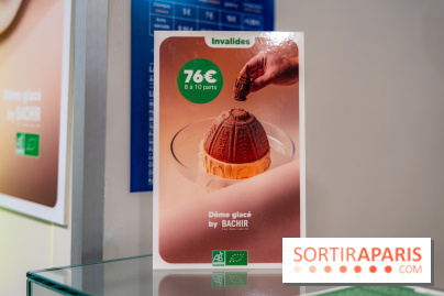 Les bûches de Noël glacées de Bachir spécial dômes parisiens  - A7C03257