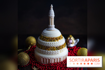 Les bûches de Noël glacées de Bachir spécial dômes parisiens  - A7C03408